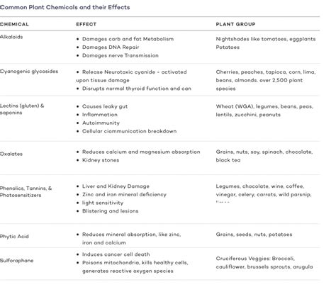 The Lion Diet Guide: Benefits, Risks, and Tips - Dr. Robert Kiltz