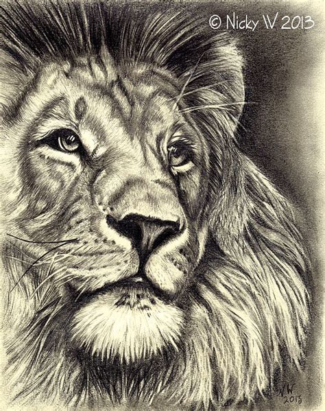 Graphite pencil sketch of a lion. | Pencil drawings, Zebra drawing, Realistic drawings