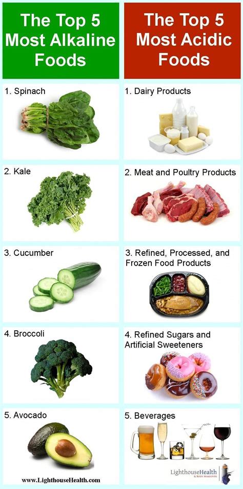 Top 10 Alkaline Foods You Should Be Eating Everyday O - vrogue.co