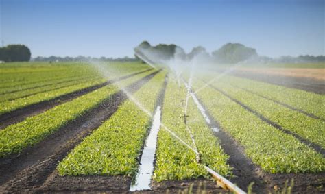 Watering crops stock image. Image of cultivation, agriculture - 56476689