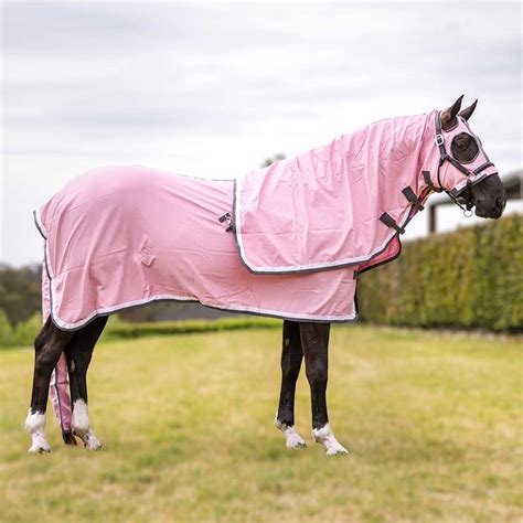 Pink Show Set - Jojubi Saddlery