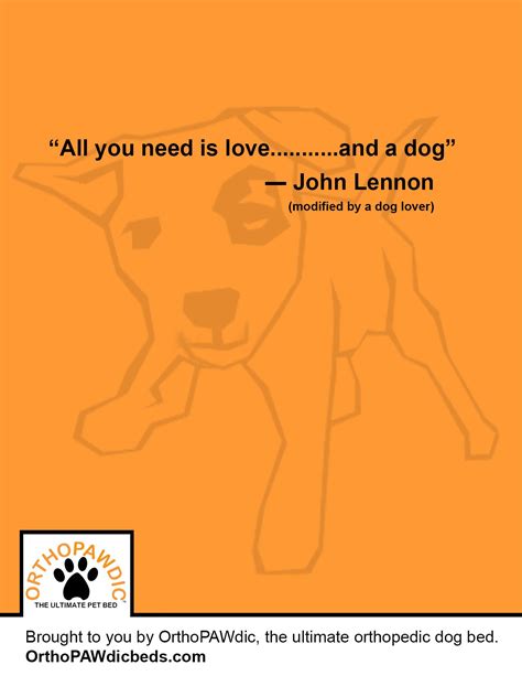 This is a quote that pulls it's inspiration from the lyrics of a famous John Lennon song. The ...