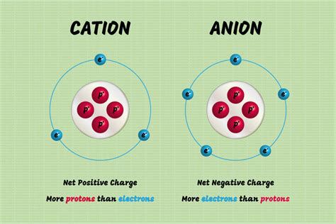 Cations and Anions: Definitions, Examples, and Differences