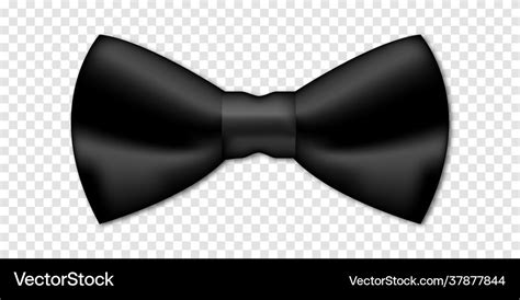 Realistic black bow tie bowtie isolated Royalty Free Vector