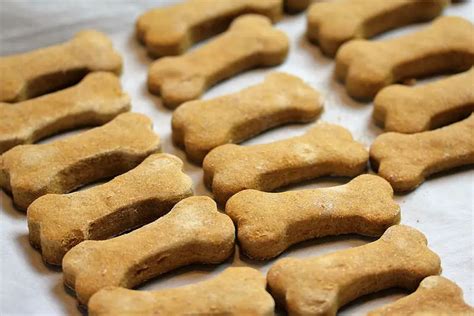 Homemade Pumpkin and Peanut Butter Dog Treats Recipe - Cully's Kitchen