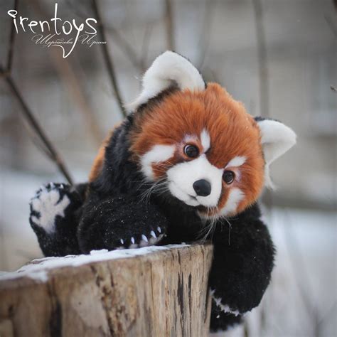 Red panda [stuffed toy] by Irentoys | Red panda, Panda, Cute animal photos