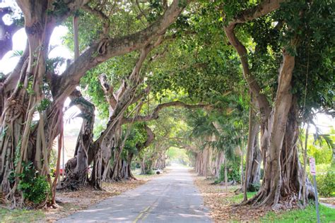 Your Guide to Living in Coral Gables, Florida | Landing