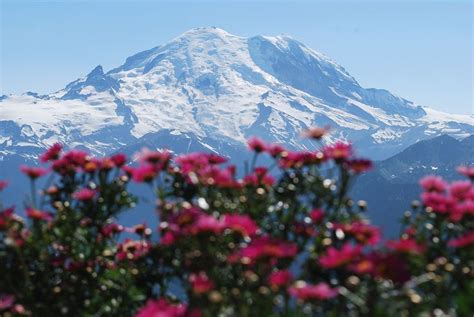 Summer at Crystal Mountain Resort | Mountain resort, Crystal mountain, Mount rainier national park