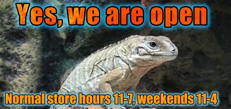 Welcome to Reptile Rapture - The largest little reptile store around.