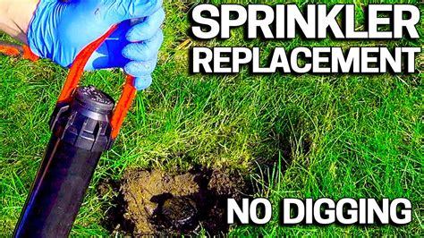 How to replace a sprinkler head without digging - YouTube