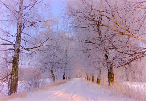 *🇱🇹 Winter Wonderland (Lithuania) by RE~gi~NA / 500px | Winter ...