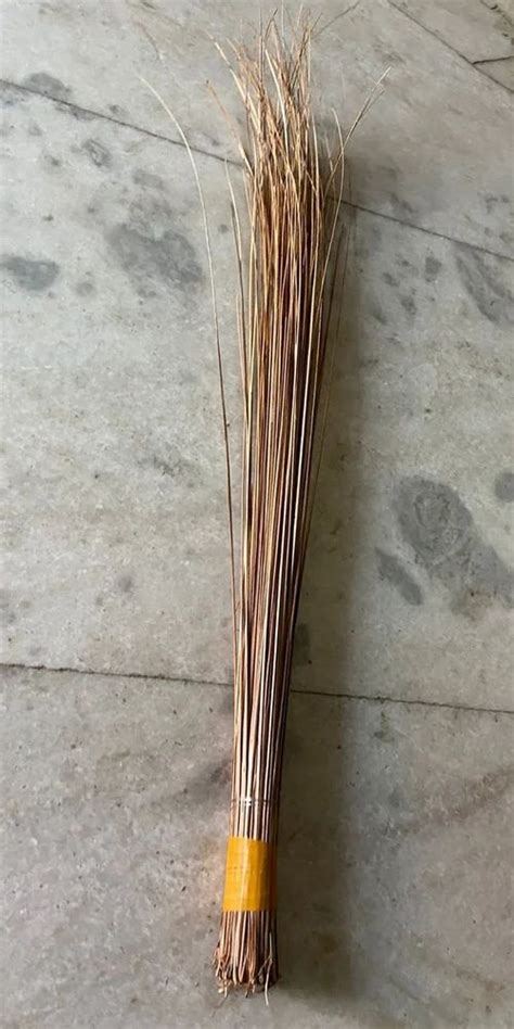 Coconut Jhadu Broom Stick at Rs 40/piece | Cleaning Broom in New Delhi ...