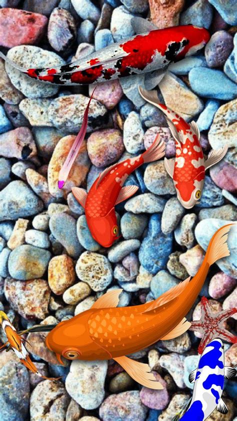 Koi Fish Wallpaper 3D - Water Fish Screensaver 3D APK for Android Download