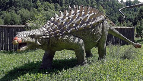 Facts About Ankylosaurus, the Armored Dinosaur