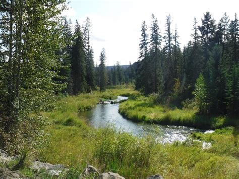 Dave'n'Kathy's Vagabond Blog: Biking the Williams Lake River Valley Trail