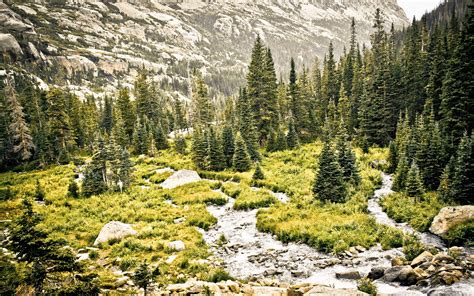 nature, Forest, Trees, HDR, Mountain Wallpapers HD / Desktop and Mobile ...