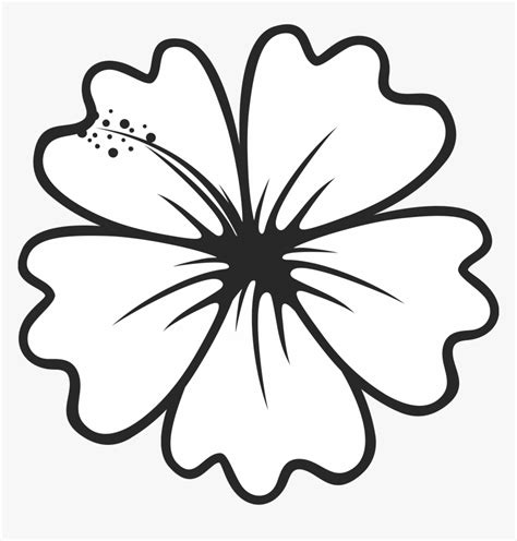 Hibiscus Flower Clipart Black And White | Best Flower Site