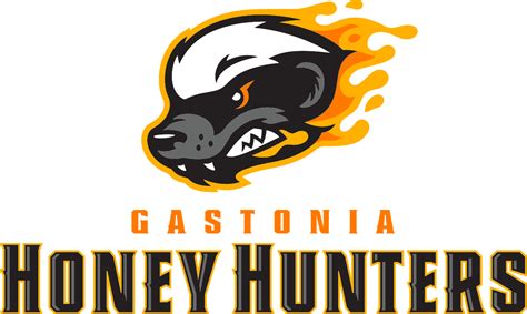 Gastonia Honey Hunters PNG Images Transparent Free Download - PNG Mart