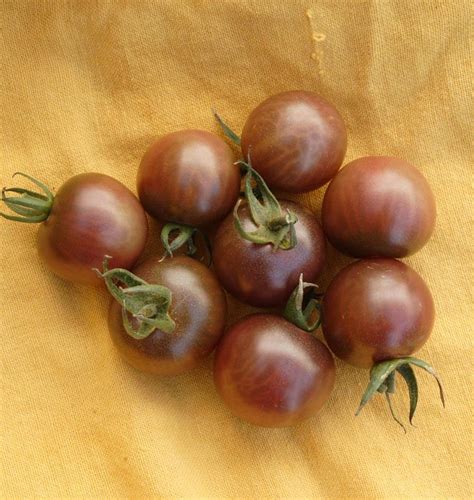 Black Cherry Tomato Seeds – West Coast Seeds