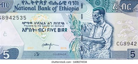 Ethiopia 5 Birr Banknote Ethiopian Currency Stock Photo 1608274534 ...