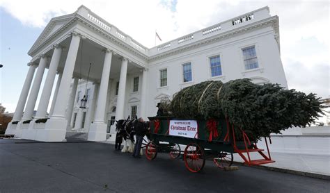 The 2014 White House Christmas tree has arrived