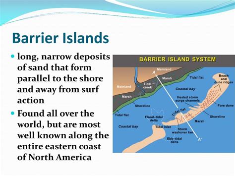 PPT - Barrier Islands PowerPoint Presentation, free download - ID:5860531