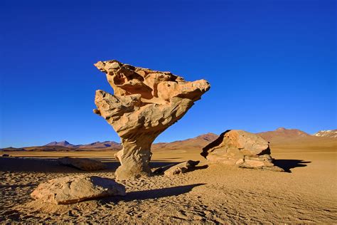 Arbol de Piedra, Bolivia | The Arbol de Piedra (Stone Tree) … | Flickr