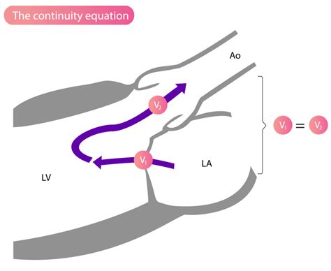 The Continuity Equation (The Principle of Continuity) – Cardiovascular Education