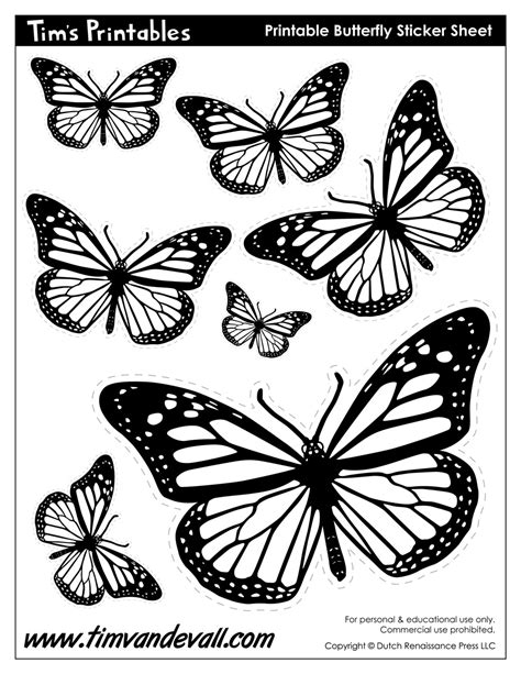 Butterfly Templates - Tim's Printables