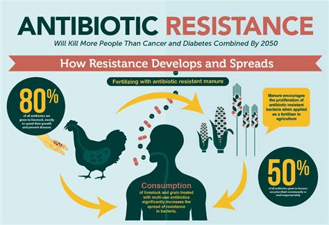 Animal Agriculture Antibiotic Resistance - Agriculture Info