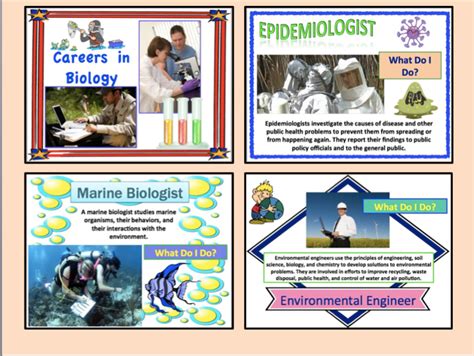 Free "Careers in Biology" mini posters for your science classroom. #ScienceCareers | Classroom ...