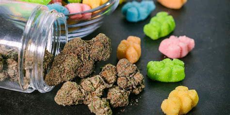 Why Weed Edibles Are Stronger Than Flower - Pure Oasis