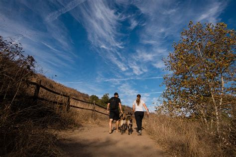 Take a Hike: Oak Canyon Trail at Mission Trails