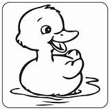Ducks Coloring Pages sketch template