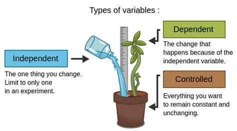 Experimental variables - Labster