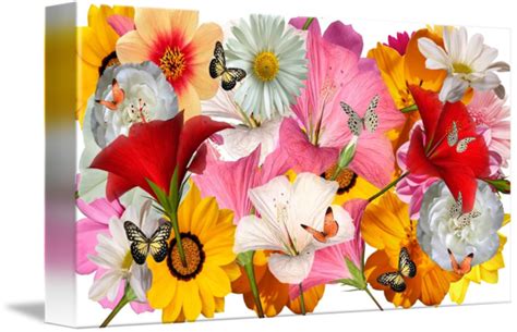 flower collage template by Todd Amen