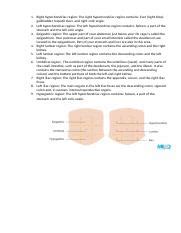 Unit 1 Activity .docx - 1. Right hypochondriac region: The right ...