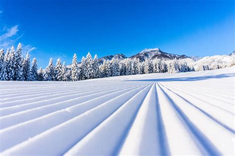 Myoko Kogen Ski Packages | Myoko Kogen Ski Holidays | Ski Deals