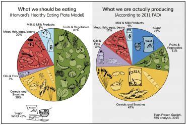 Feeding the world: Food security as a global challenge