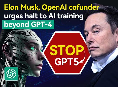 Elon Musk OpenAI cofunder urges halt to AI training beyond GPT-4