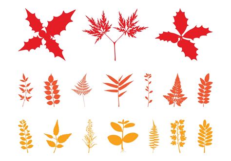 Autumn Leaves Silhouettes - Download Free Vector Art, Stock Graphics & Images