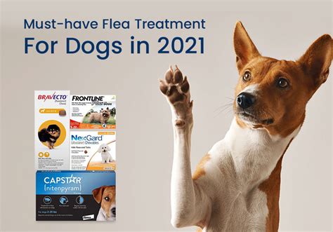 Must-have Flea Treatment For Dogs in 2021