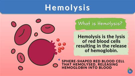 Hemolysis - Definition and Examples - Biology Online Dictionary