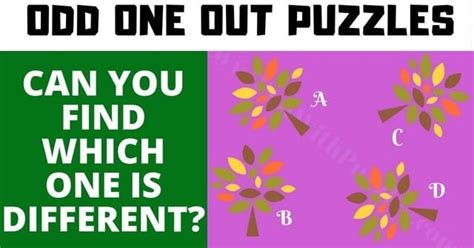 Odd One Out Puzzles with Answers