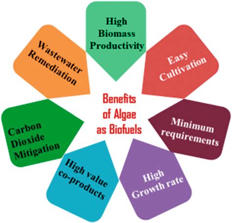 3 Advantages of algae as biofuel sources | Download Scientific Diagram