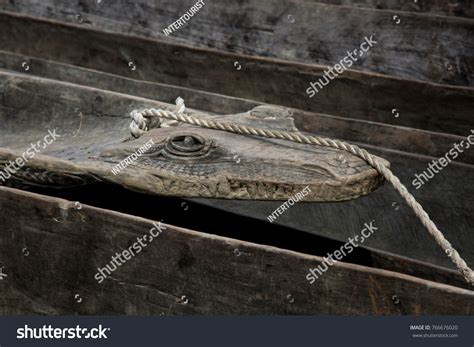 Canoe Crocodile Head On Sepik River Stock Photo 766676020 | Shutterstock