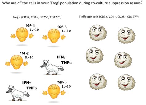 How To Differentiate T-Regulatory Cells (Tregs) By Flow Cytometry - Cheeky Scientist