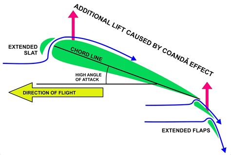 Bird Control - CR4 Discussion Thread