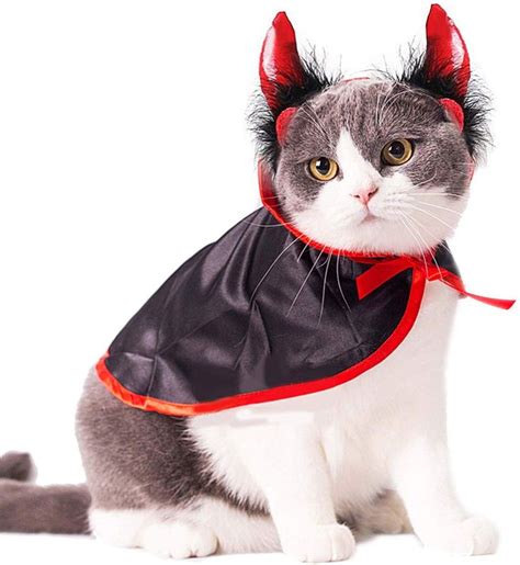 Katzen Kostüm Teufel - perfekt für Halloween. Dieses Haustierkostüm ist wirklich witzig.… | Pet ...