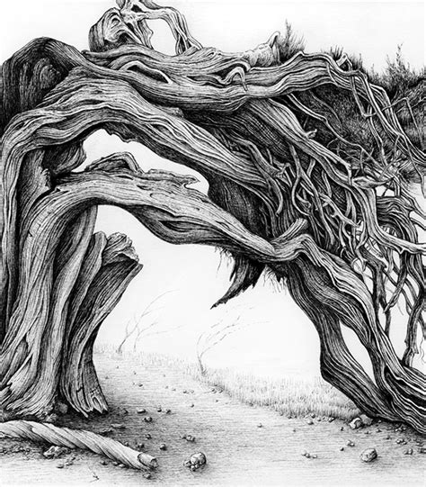 Juniper 1 - Tree 3 :: Behance